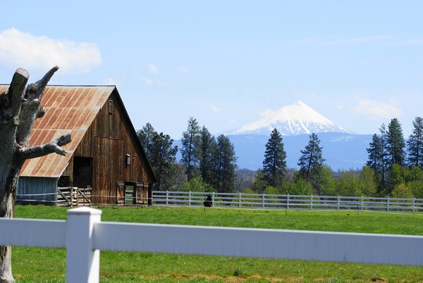 Old Barn