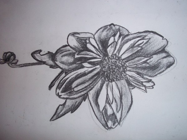 big flower