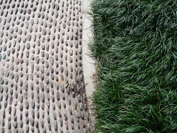 Concrete meets Jungle