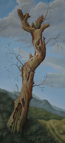 old tree ( after Van Ruysdael )