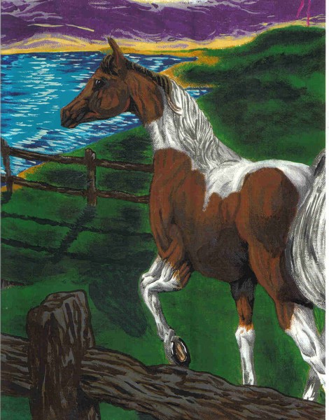 Pinto in acrylic