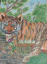 tiger cub
