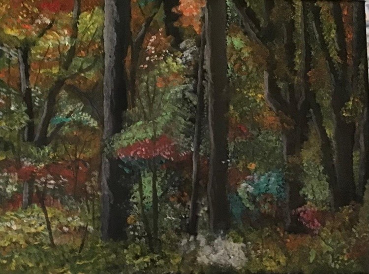 Fall colors in the woods