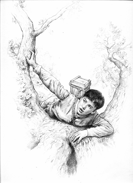 The Sword in The Tree
