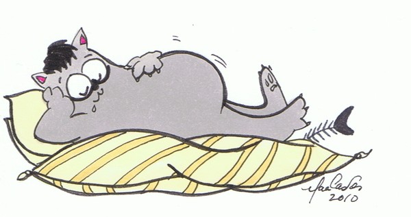 cat nap on yellow Cusion