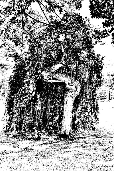 Cemetary Spirit #3