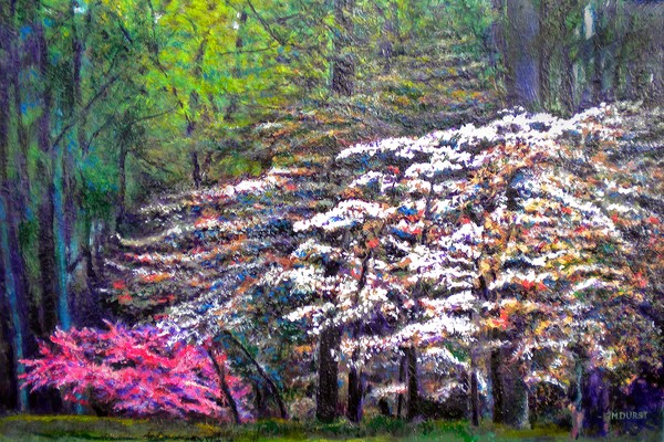 Floral Cathedral