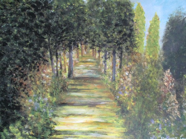 sunshine through the woods