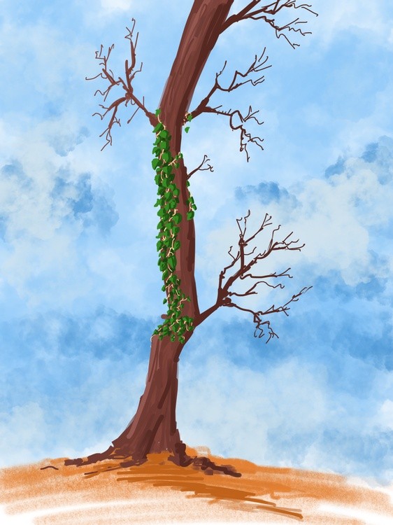 Tree with ivy