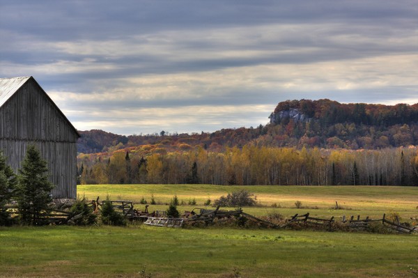 On The Prarie