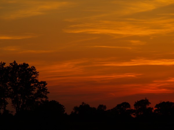 Sun Down II