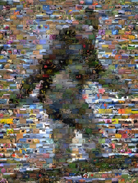 Bigfoot Mosaic