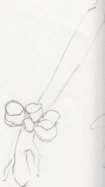 Accessorie