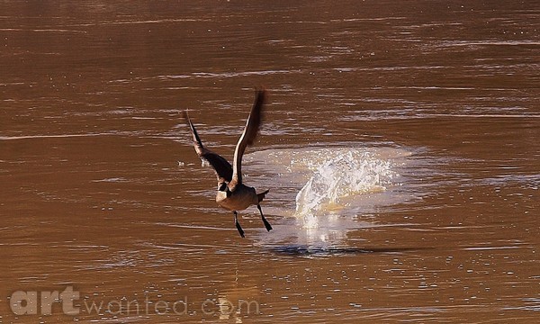 Takeoff