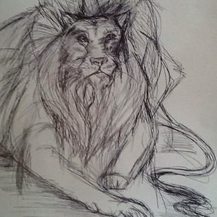 lion in biro pen