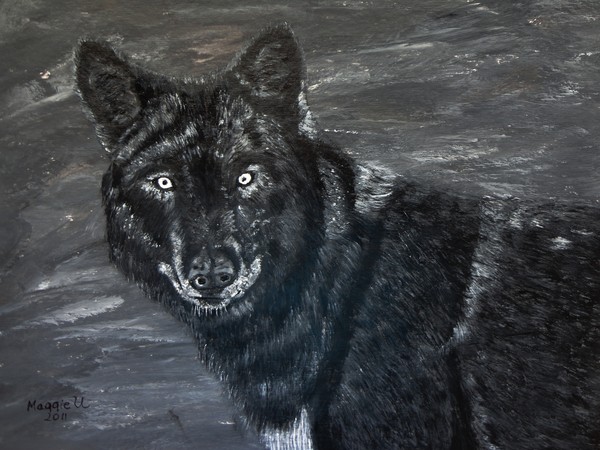 Black wolf