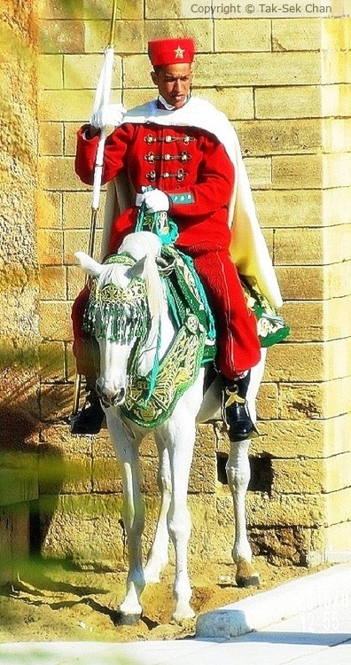 Mounted Guard, Spain 01-07-2015