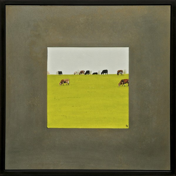 Cattle Grazing