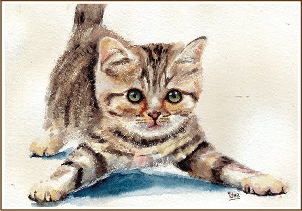 Kitten jump