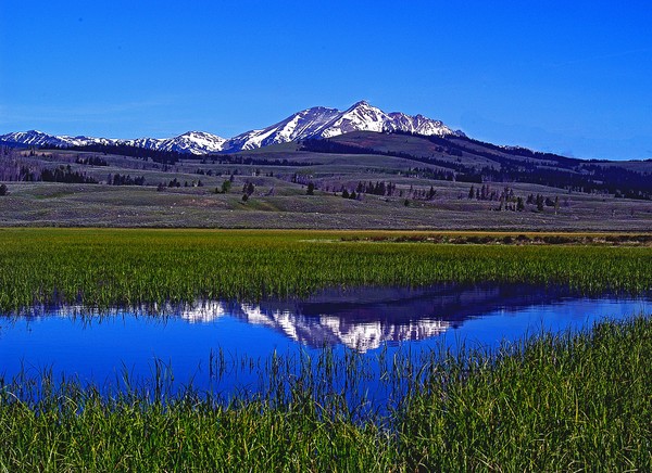 Traquility Base   Yellowstone Park