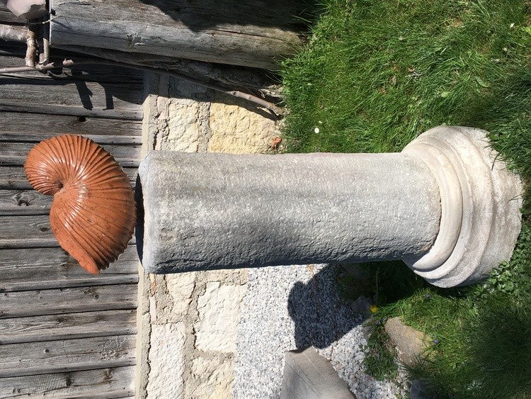 Musch Kopie