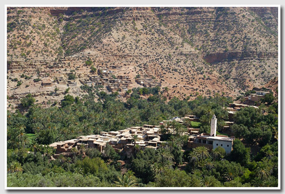 Village in an oasis, Morocco