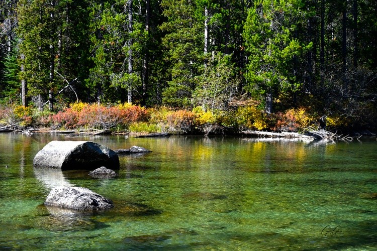String Lake Fall Colors