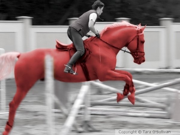 Jumping Coloursplash