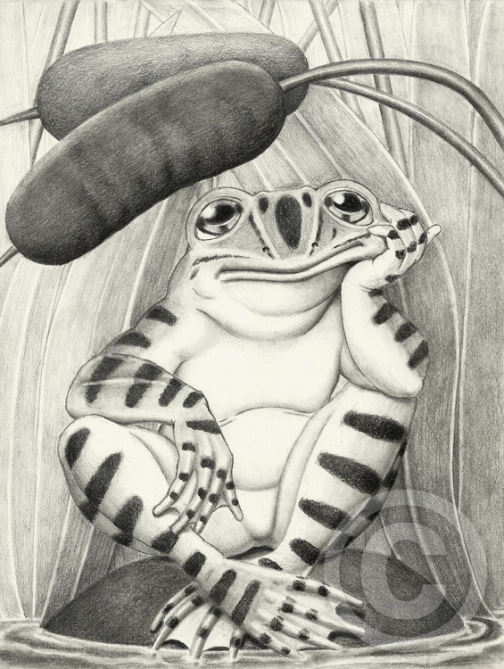 Frog Days