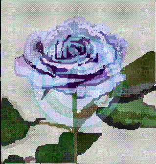 Floradig5