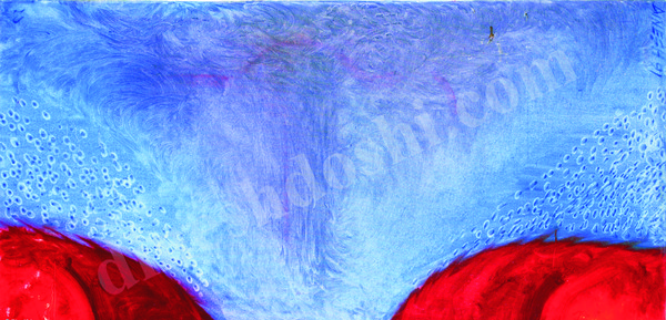 Purity II 24x48