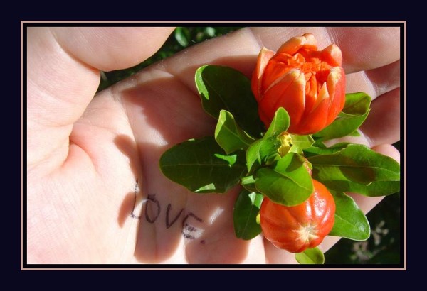 Love