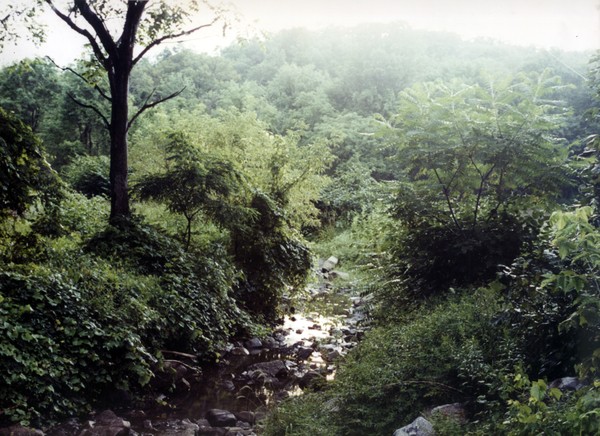 Summer Creek, Medusa, NY