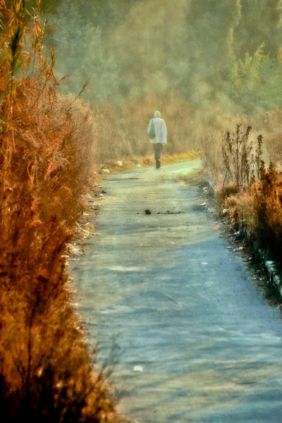 Long walk home