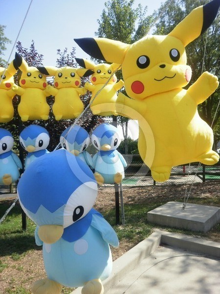 Pokemon Fun
