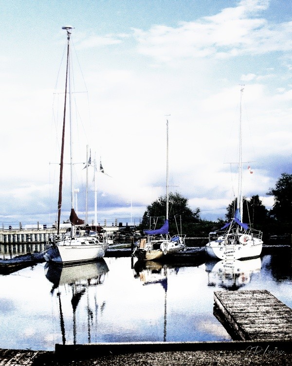 Tranquil Harbor