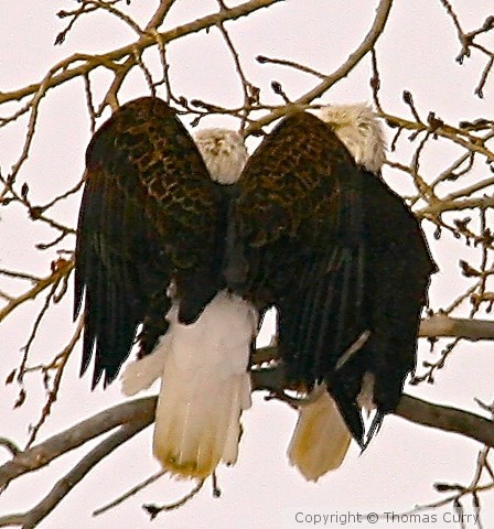 Come a little closer....