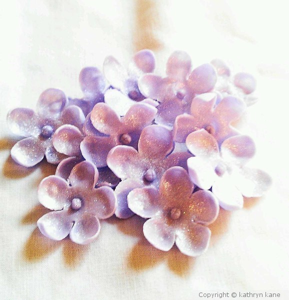 Periwinkle Blossoms