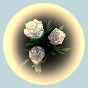 Bowloroses