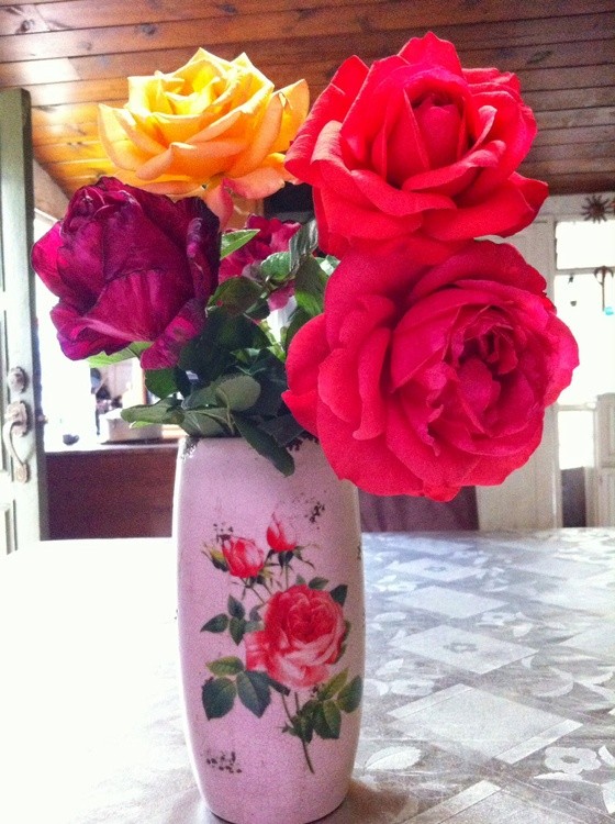 Karen Muro Some roses