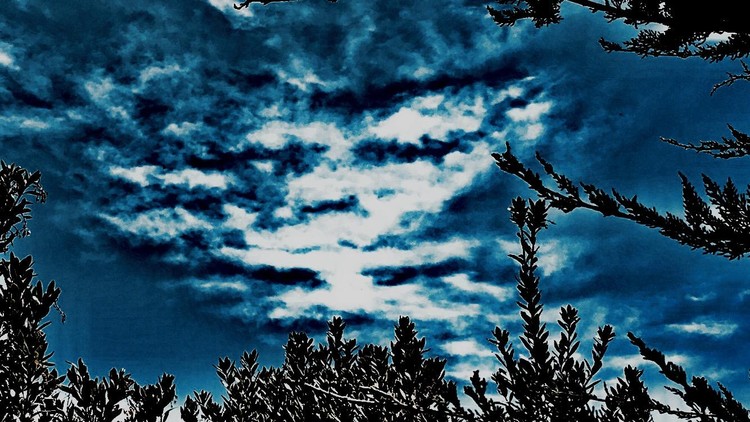 Cloud Man