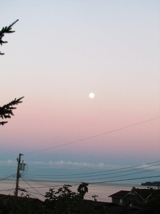 Blue Moon Rising