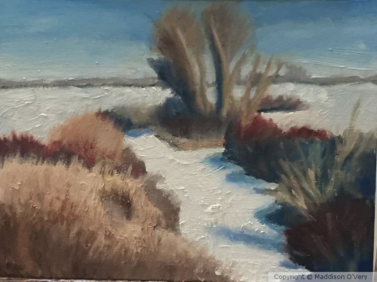 Winter Desert