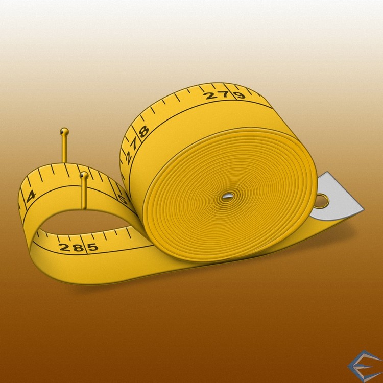 Tape Measure Snail