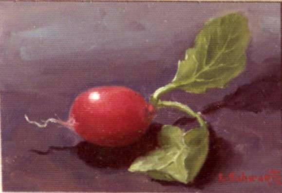 A Radish