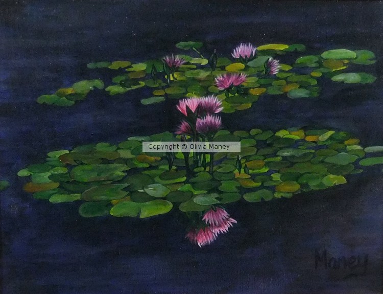 Hawaiian Waterlilies #2