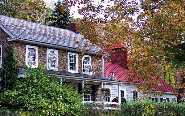 The Dog House