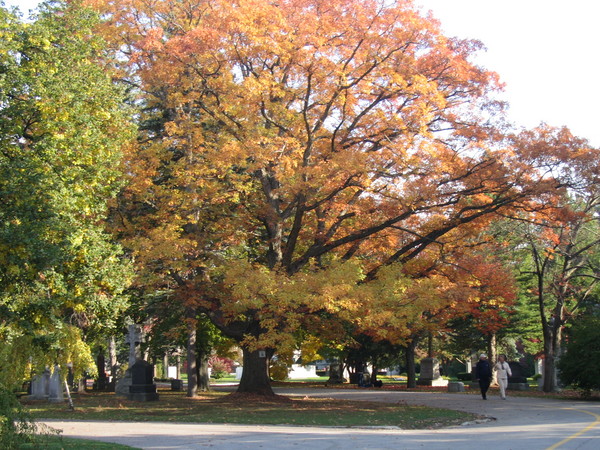Mount Pleasant Cemetery 2