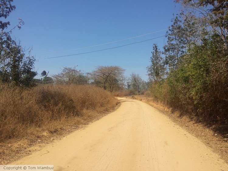 Dusty Country Road 