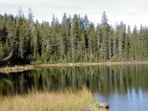 Stoddard Lake